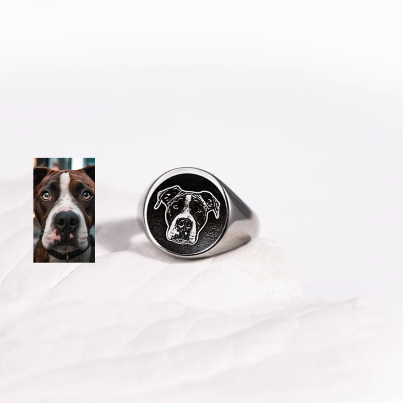 Custom Engrave Photo Signet Ri - Signet Ring Men ulasan dan harga